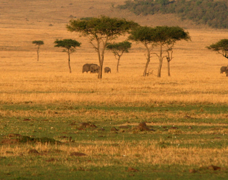 northern serengeti